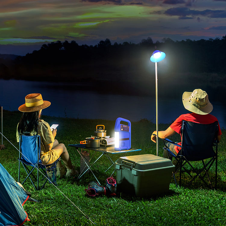 What are Solar Home Systems?