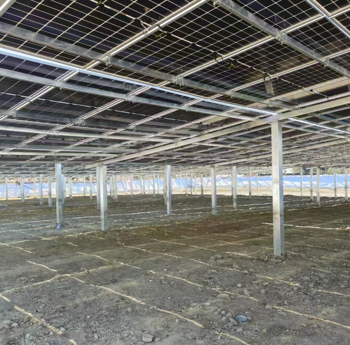 Best Solar Steel Structures for Sustainable Energy Solutions: Wholesale Guide