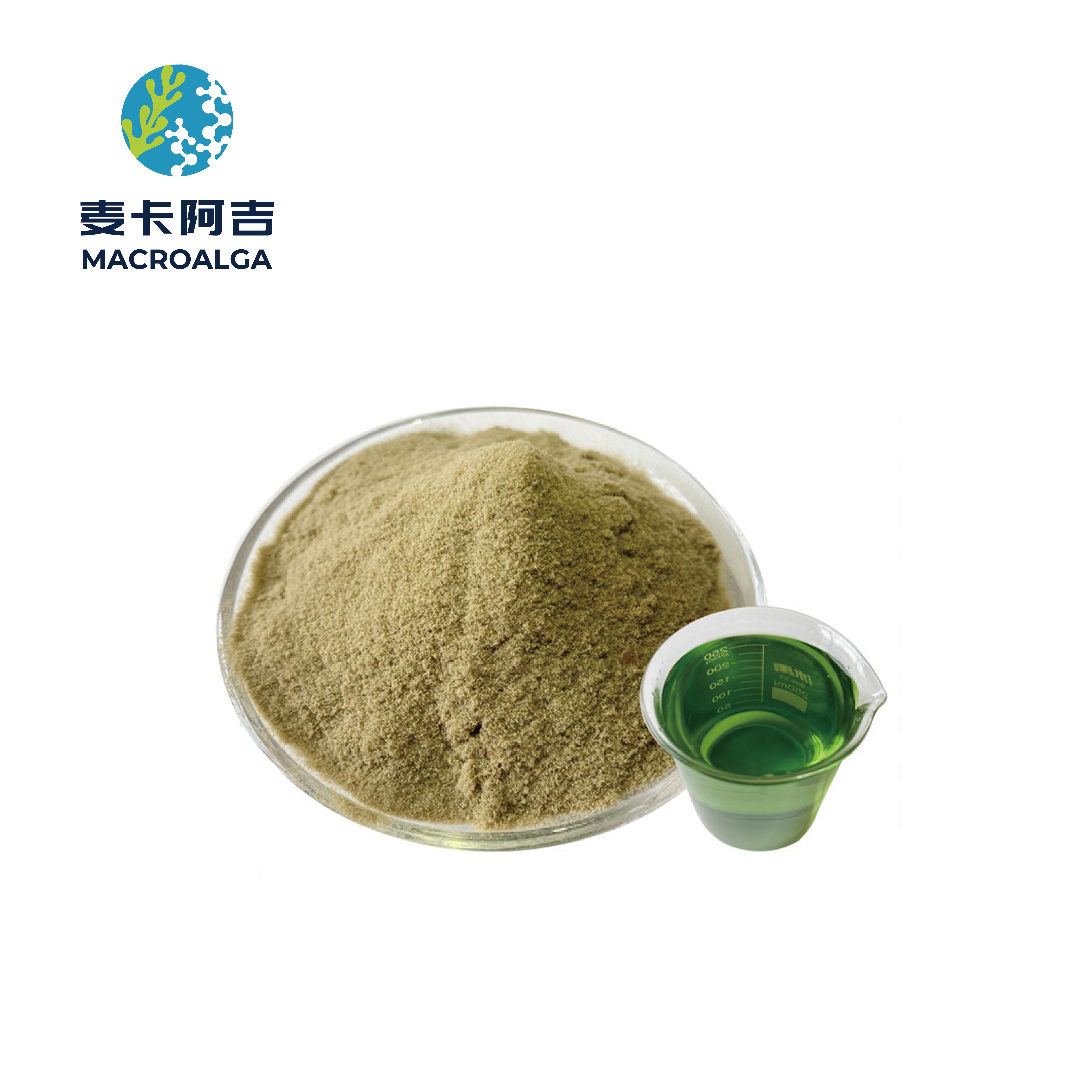 China Seaweed Fertilizer Original Manufacturer: Harnessing Ocean-Born Nutrients for Thriving Crops