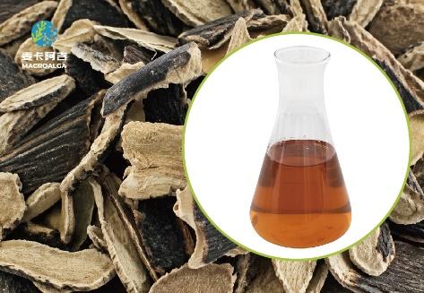 Ecklonia Maxima Extract in China: Why Experts Recommend This Powerful Seaweed Supplement
